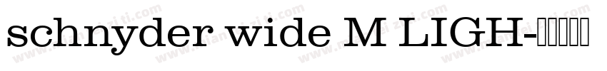 schnyder wide M LIGH字体转换
